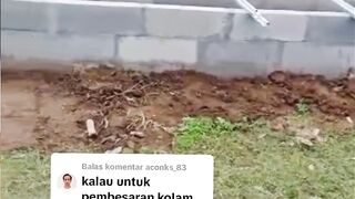Apakah kolam seperti ini cocok untuk pembesaran lele❓