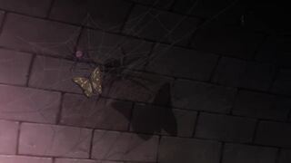 The Brilliant Healer's New Life in the Shadows 6