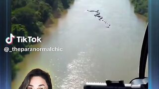 Massive Anaconda Caught on Tape