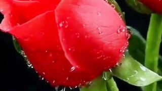 Beautiful nature