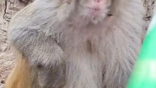 Kasih minum