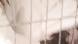 Asli asli