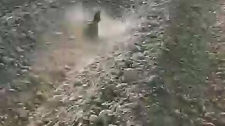 Pakistani fight to check karo.