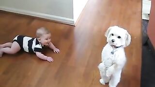 Dancing Dog Laughing Baby