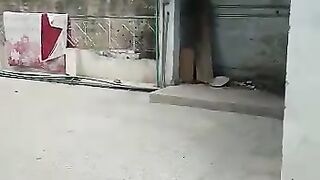 Gar for sale