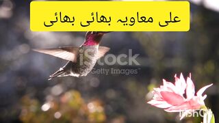 ماشااللہ بہت خوبصورت اللہ کے پیارے پیارے نام