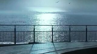 Beautiful view of nature 102