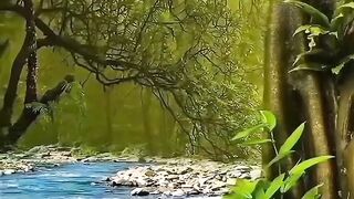 Beautiful view of nature 103