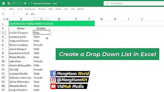 Excel Data Validation - Create Drop Down List in Excel in Cells(360P)