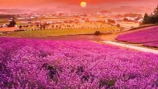 Beautiful view of nature 104