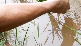 Belut sawah mancing belut