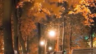 Beautiful view of nature 106