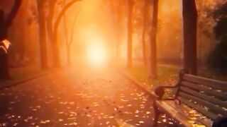 Beautiful view of nature 107