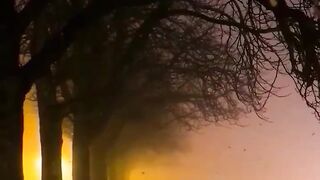 Beautiful view of nature 108