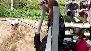 Best 2023 funny|viral clips if you like follow me