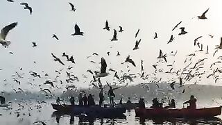 morning view of the river