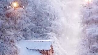 Snow | snowfall | cold | winter | Snow falling