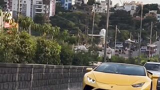 Bull #lamborghini #reelkarofeelkaro #viral