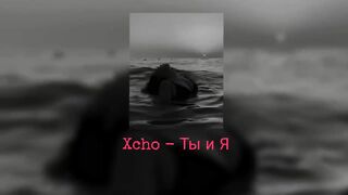 Xcho- Tbi N R