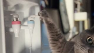 My cat always messes up when I sleep ????????????. Fun