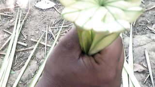 নিজের হাতে তৈরী পদ্মফুল