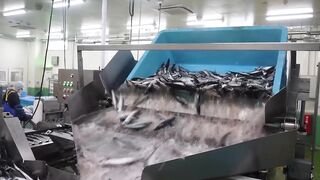 Revealed! This Japanese Factory Produces 8 Tonnes of Teriyaki Every Day - The Process is Crazy!
