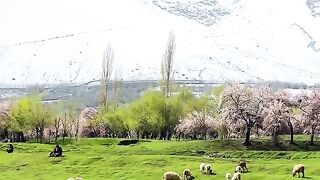 Love nature