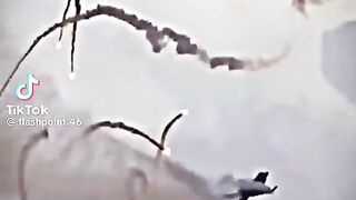 The Jung india Pakistan video