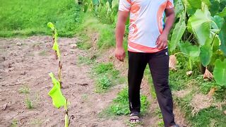 এই ফসল বিক্রি করে কয় টাকায় বা থাকে।