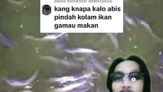 Kalau ikan lele malas makan gara-gara hal ini, berarti kamu belum faham