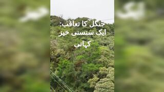 Jangl