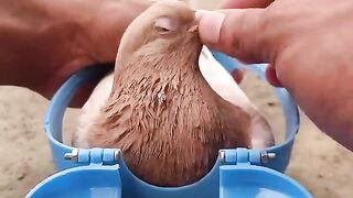 طريقة صحيحة