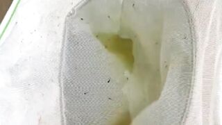Agar ikan lele tidak stress saat dipanen, gunakan alat ini