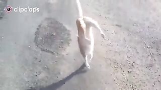 Bantu subsribe