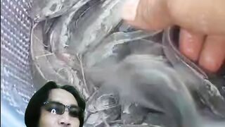 Begini cara saya melakukan pergantian jenis pakan pelet