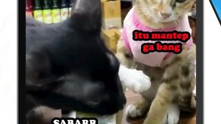 punya gua nih!