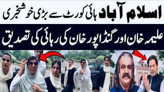 Aleema khan Ali Amin Gandapur reaches Islamabad High Court