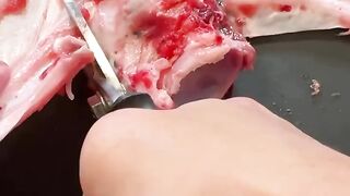 Video Original mona alam viral full video viral video telegram link