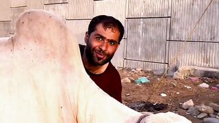 modi ka amma #shortvideo #viralvideo #historyofworld #youtubeshorts #viralshorts #shorts #short #modi #india #pakistan #IndvsPak #fannyvideos