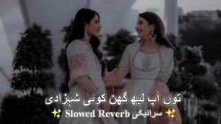 Too Ap Labh Ghin Koi Shahzadi _ Saraiki Slowed Song _ Saraiki Lofi Music