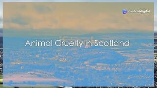 Stephanie Watson s Shocking XL Bully Dog Abuse Exposed | Glasgow Incident