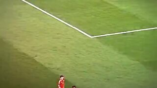 foodball