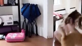 funy cat