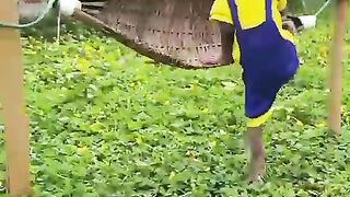 Best of Funny Monkeys video