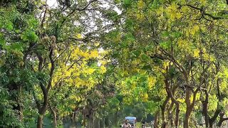 Bangladesh
