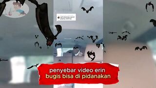 Download video Erin bugis viral di mobil brio erin bugis viral video link video