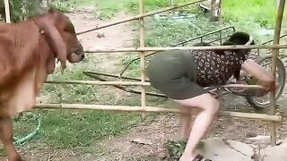 videolawak videolucu