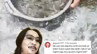 Beda konsep beda cara budidaya terkadang suka membingungkan