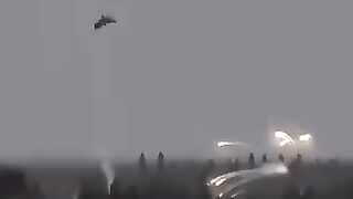 Pakistani Shaheen