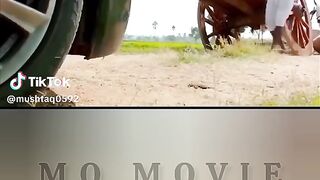 filmf